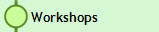 Workshops